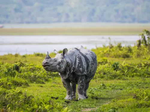 Assam Meghalaya Laitlum ...